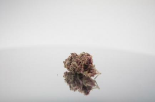 Foto Lobsang Tinley/Flickr