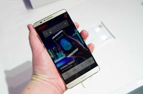 Fotografia: commons/wikimedia.org