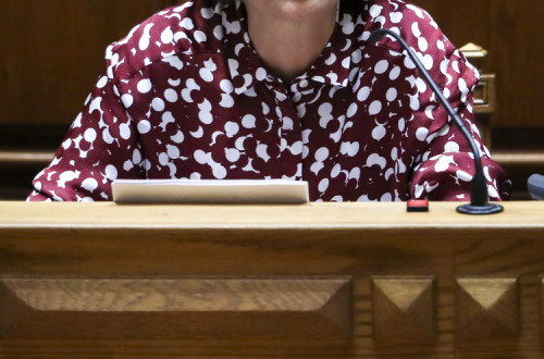 Graça Fonseca numa audição na Assembleia da República.