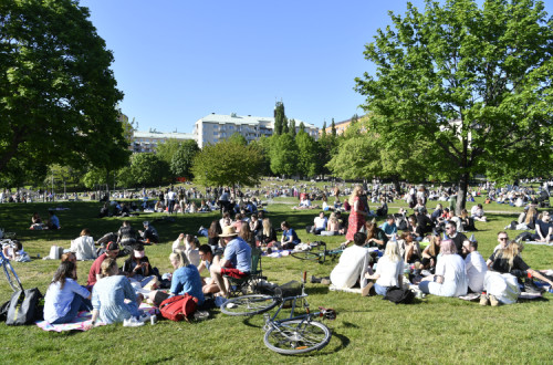 Cidadãos suecos num parque de Estocolmo a 30 de maio. Foto de HENRIK MONTGOMERY/EPA/Lusa.