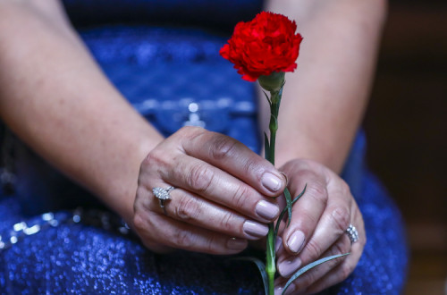 Cravo na sessão solene do 25 de Abril. Foto de António Cotrim/Lusa.
