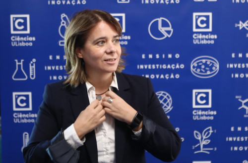 A subida do nível das águas, como os fenómenos climáticos extremos, “já estão cá e quem vive nas zonas costeiras sabe como é diferente a vida".