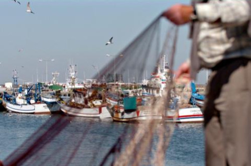 Greve na Docapesca - Foto CGTP