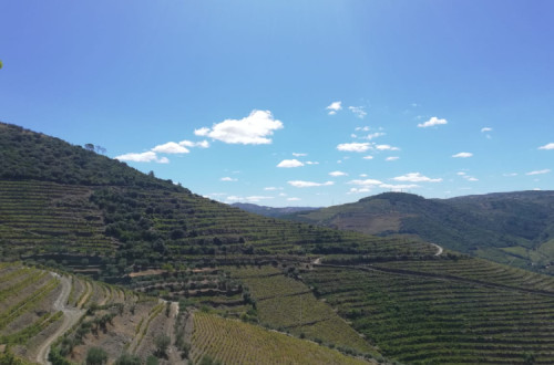 Alto Douro Vinhateiro