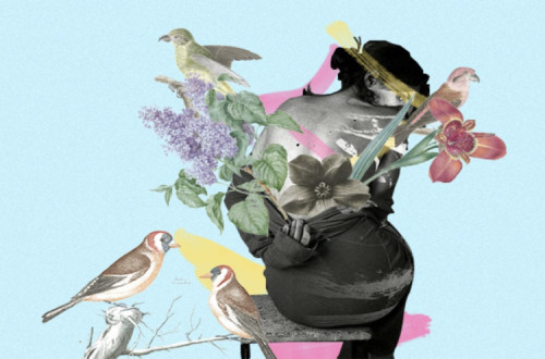 Ecofeminismo.Ilustração do site Carta Capital.