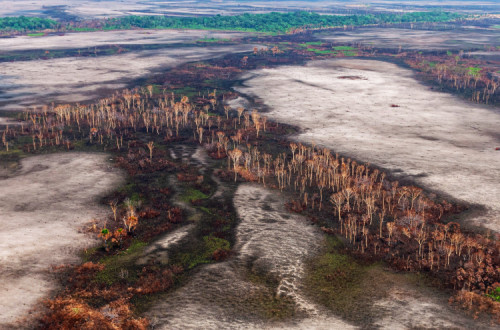 Queimada no Amazonas. Foto de Vinícius Mendonça/Ibama.