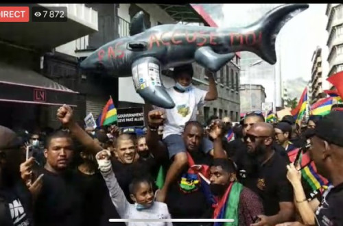Uma criança carrega o boneco de um golfinho enquanto está às cavalitas do organizador do protesto. Foto do Twitter de @supermootoo.