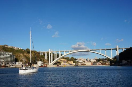 Bloco: Câmara do Porto e APDL devem “matar de vez” obra embargada na Arrábida