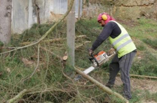 Bloco de Esquerda apresenta projeto para capacitar autarquias na prevenção de incêndios – Foto leiria.bloco.org