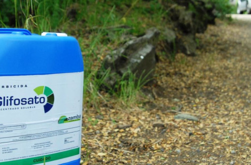 Glifosato. Foto publicada em contraosagrotoxicos.org.
