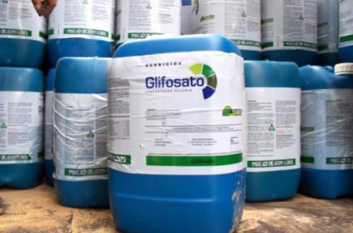 Áustria e Luxemburgo já baniram o uso do glifosato e na Alemanha o mesmo aconecerá em 2023