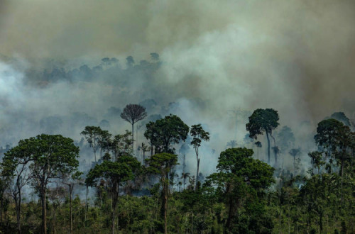 Imagem aérea de queimadas na Área de Proteção Ambiental Jamanxim na cidade de Novo Progresso, Estado do Pará. (Foto: Victor Moriyama / Greenpeace)