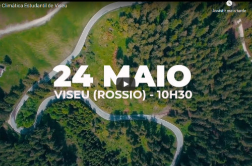 Artigo publicado no portal Interior do Avesso