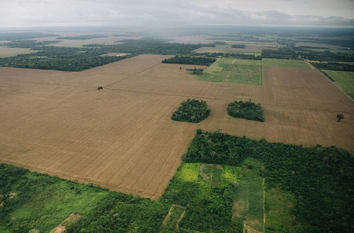 Foto de Christian Braga/ClimaInfo/Agosto de 2022.