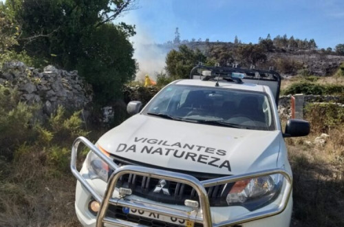 Vigilantes da Natureza. Foto do Interior do Avesso.