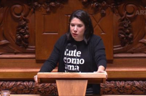 A deputada Joana Mortágua requereu a  a audição da diretora-geral do GEPAC sobre os atrasos nos pagamentos do programa Garantir Cultura