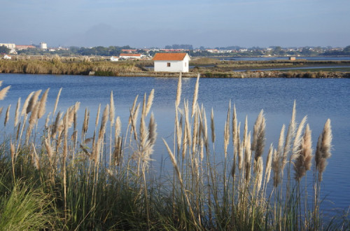 Ria de Aveiro. Foto de FF Mira/Flickr.