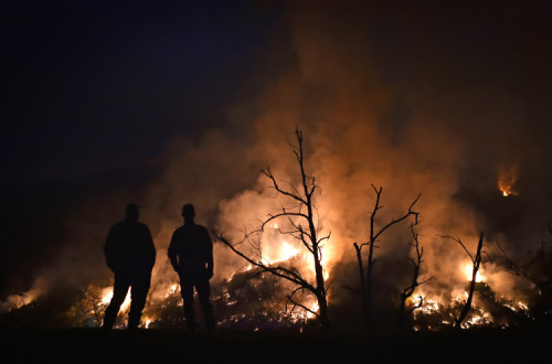 Incêndio na Serra da Estrela. Foto de NUNO ANDRÉ FERREIRA/LUSA.