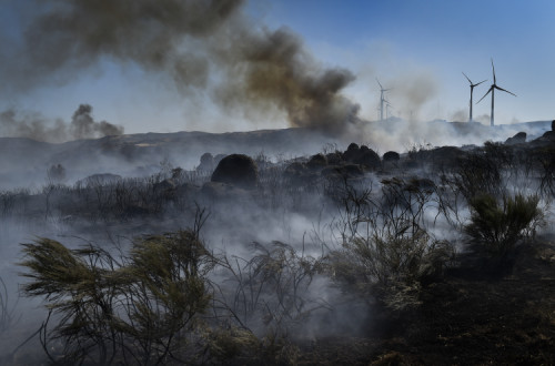 Incêndio na freguesia de Rapa, Celorico da Beira, Guarda, 13 de agosto de 2022. Foto de NUNO ANDRÉ FERREIRA/LUSA.