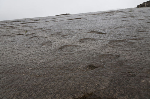 Pegadas de Dinossáurios da Serra de Aire. Foto de Manuelvbotelho/Wikimedia Commons.