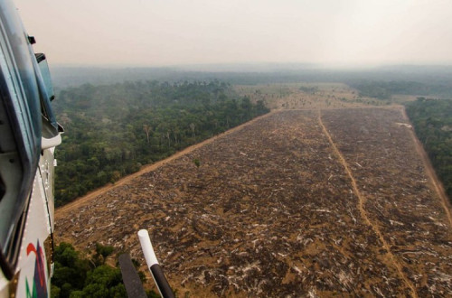 Desmatamento da Amazonia. Foto de MARCIO ISENSEE E SÁ publicada por Jeso Carneiro no Flickr.