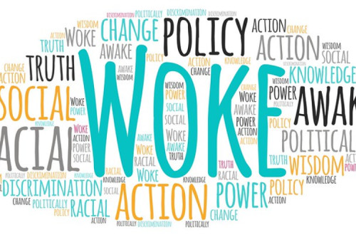Nuvem de conceitos com a palavra woke no centro. Foto de EpicTop10.com/Flickr.