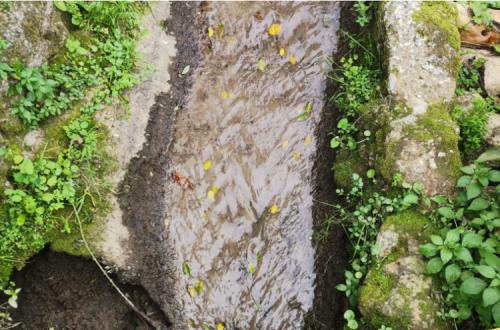 Poluição na Ribeira da Hortas em Santa Comba Dão. Foto do Interior do Avesso.
