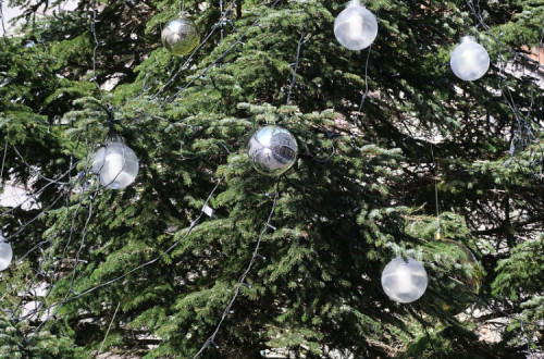 Árvore de Natal. Foto de Guilhem Vellut/Flickr.