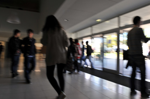 Ensino. Foto de Paulete Matos.