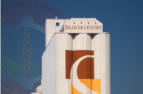 Silos de Leixões. Foto do SINTAB.