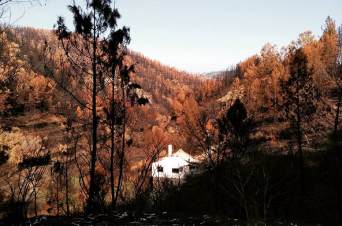Incêndios de Outubro de 2017