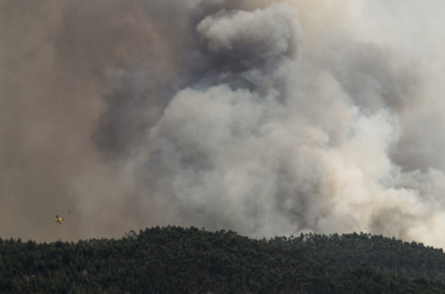 Incêndio florestal em Ferreira do Zêzere, 13 de agosto de 2017 – Foto de Paulo Cunha/Lusa