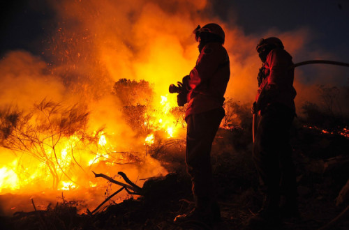 Segundo a Quercus, “na lista dos 72 municípios que não estão a cumprir a legislação estão alguns que este Verão ficaram bem conhecidos pelas piores razões como Alijó, Fundão, Vila de Rei, Castanheira de Pêra e Pedrógão Grande”. Foto retirada de bombeiros.pt.