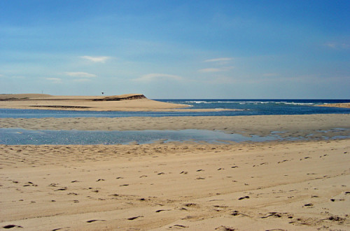 Lagoa de Santo André, Reserva Natural das Lagoas de Santo André e da Sancha, 2007 – Foto de Xuaxo, CC BY-SA 3.0, disponível em pt.wikipedia.org