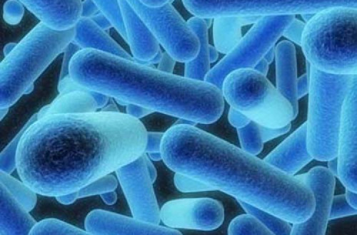 Legionella – Foto de sidknee23/flickr