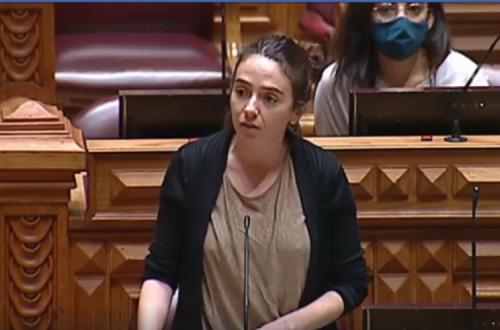 “Trazer a debate medidas para retirar proteção neste momento é continuar a fazer de conta que o problema da habitação não existe e com isso insistir em aprofundar a crise habitacional”, acusou Maria Manuel Rola