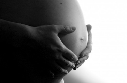 Deputado Moisés Ferreira afirma: “Esperamos pela posição do Tribunal Constitucional com uma certeza: o Bloco não desistirá destas mulheres”