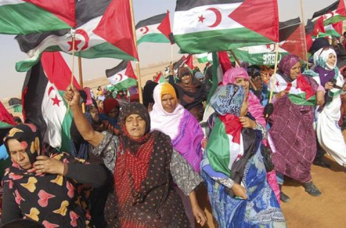 As mulheres saharauis deparam-se com o poder dos colonizadores, que oprimem seu modo de vida, obrigando-as a encontrar novas formas de resistência