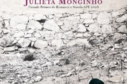 Capa do livro Um Muro no Meio do Caminho. Porto Editora.