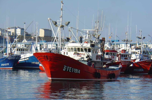 Barcos de Pesca