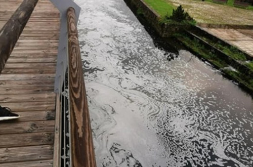 As “descargas poluentes ocorridas em março e abril do presente ano na ribeira Grande, concelho da Sertã, deram origem a um espesso manto de espumas acastanhadas e partículas a flutuar ao longo do curso de água e margens da ribeira da vila sertaginense”