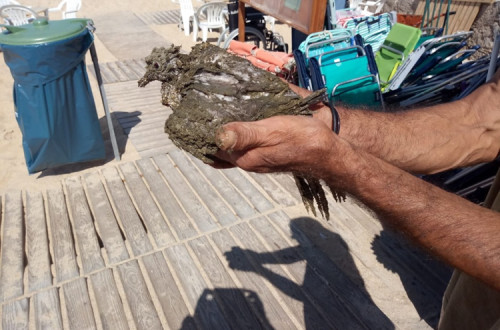 Descarga poluente na praia de São Pedro de Moel.