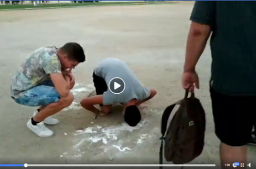 Praxe na Universidade de Évora