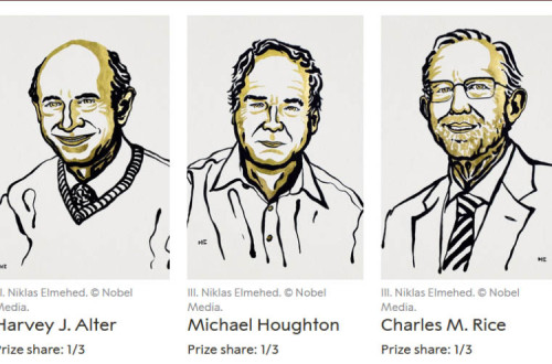 Prémio Nobel da Medicina 2020