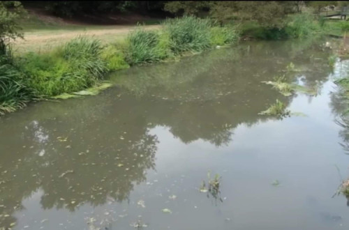 Descargas no rio Ferreira