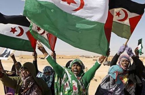 O advogado-geral, Melchior Wathelet, conclui que "nem o acordo de associação UE-Marrocos nem o acordo UE-Marrocos relativo à liberalização das trocas comerciais recíprocas de produtos agrícolas e da pesca se aplicam ao Sara Ocidental"