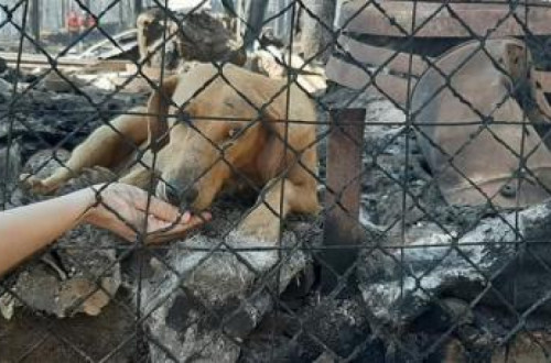 Foto divulgada na página de Facebook de Um activismo por dia.