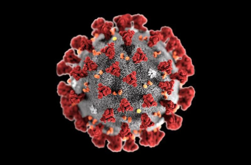 Diabetologistas assinalam a necessidade de “uma estratégia global para as principais doenças crónicas nas várias frentes”, no combate à covid-19