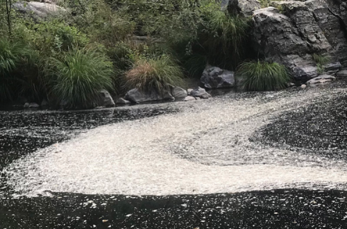 Poluição no rio Paiva. Foto da SOS Rio Paiva.
