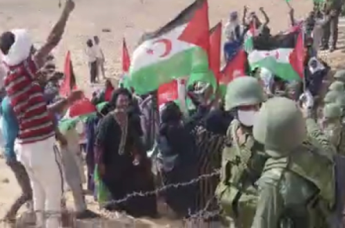 Manifestantes saharauis em Mijek, outubro de 2020. Foto PSUL.